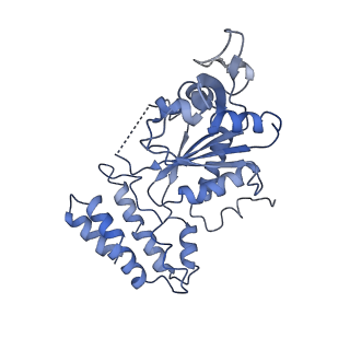 20867_6ut6_C_v1-0
Cryo-EM structure of the Escherichia coli McrBC complex