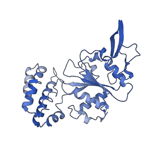 20867_6ut6_D_v1-0
Cryo-EM structure of the Escherichia coli McrBC complex