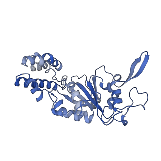 20867_6ut6_E_v1-0
Cryo-EM structure of the Escherichia coli McrBC complex