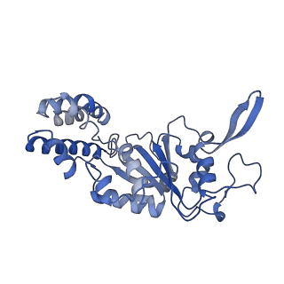 20867_6ut6_E_v1-1
Cryo-EM structure of the Escherichia coli McrBC complex