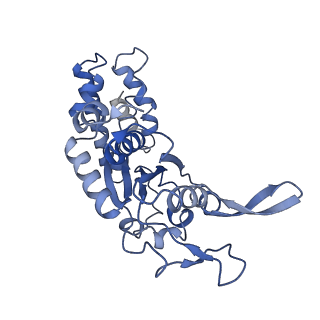 20867_6ut6_F_v1-0
Cryo-EM structure of the Escherichia coli McrBC complex