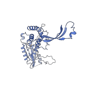 20867_6ut6_G_v1-0
Cryo-EM structure of the Escherichia coli McrBC complex