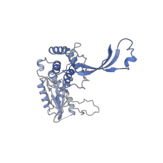 20867_6ut6_G_v1-1
Cryo-EM structure of the Escherichia coli McrBC complex