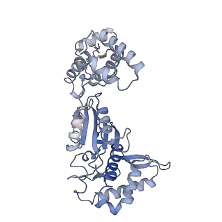 20868_6ut7_A_v1-1
Fitted model for the tetradecameric assembly of Thermococcus gammatolerans McrB AAA+ hexamers with bound McrC