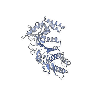 20868_6ut7_B_v1-1
Fitted model for the tetradecameric assembly of Thermococcus gammatolerans McrB AAA+ hexamers with bound McrC