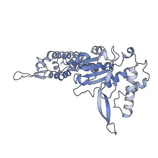 20868_6ut7_C_v1-1
Fitted model for the tetradecameric assembly of Thermococcus gammatolerans McrB AAA+ hexamers with bound McrC