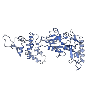 20868_6ut7_D_v1-1
Fitted model for the tetradecameric assembly of Thermococcus gammatolerans McrB AAA+ hexamers with bound McrC