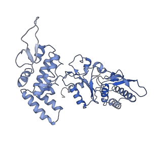 20868_6ut7_E_v1-1
Fitted model for the tetradecameric assembly of Thermococcus gammatolerans McrB AAA+ hexamers with bound McrC