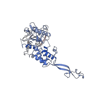 20868_6ut7_G_v1-1
Fitted model for the tetradecameric assembly of Thermococcus gammatolerans McrB AAA+ hexamers with bound McrC