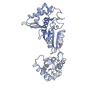 20868_6ut7_H_v1-1
Fitted model for the tetradecameric assembly of Thermococcus gammatolerans McrB AAA+ hexamers with bound McrC