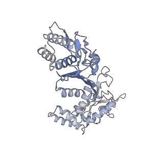 20868_6ut7_I_v1-1
Fitted model for the tetradecameric assembly of Thermococcus gammatolerans McrB AAA+ hexamers with bound McrC