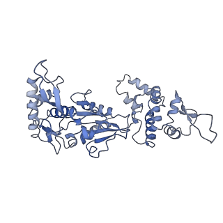 20868_6ut7_K_v1-1
Fitted model for the tetradecameric assembly of Thermococcus gammatolerans McrB AAA+ hexamers with bound McrC