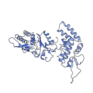 20868_6ut7_L_v1-1
Fitted model for the tetradecameric assembly of Thermococcus gammatolerans McrB AAA+ hexamers with bound McrC