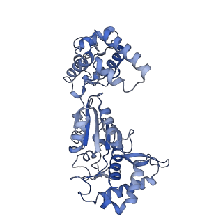 20871_6ut8_A_v1-1
Refined half-complex from tetradecameric assembly of Thermococcus gammatolerans McrB AAA+ hexamers with bound McrC