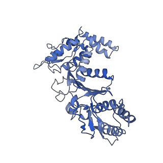 20871_6ut8_B_v1-1
Refined half-complex from tetradecameric assembly of Thermococcus gammatolerans McrB AAA+ hexamers with bound McrC