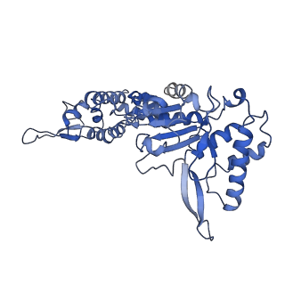 20871_6ut8_C_v1-1
Refined half-complex from tetradecameric assembly of Thermococcus gammatolerans McrB AAA+ hexamers with bound McrC