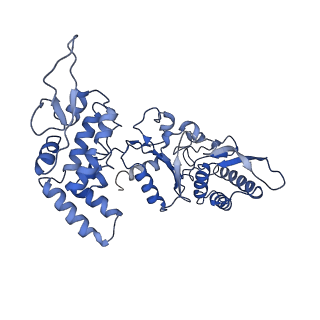 20871_6ut8_E_v1-1
Refined half-complex from tetradecameric assembly of Thermococcus gammatolerans McrB AAA+ hexamers with bound McrC