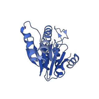 20877_6utf_1_v1-1
Allosteric coupling between alpha-rings of the 20S proteasome, archaea 20S proteasome singly capped with a PAN complex