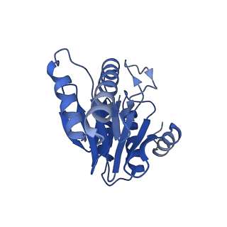 20877_6utf_1_v1-2
Allosteric coupling between alpha-rings of the 20S proteasome, archaea 20S proteasome singly capped with a PAN complex