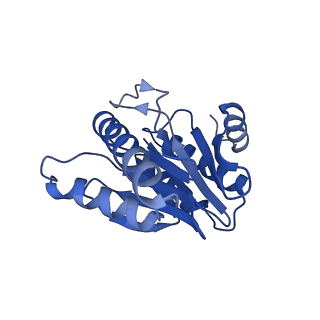 20877_6utf_2_v1-1
Allosteric coupling between alpha-rings of the 20S proteasome, archaea 20S proteasome singly capped with a PAN complex