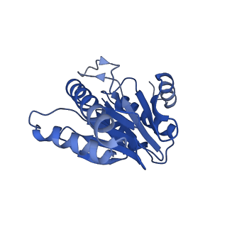 20877_6utf_2_v1-2
Allosteric coupling between alpha-rings of the 20S proteasome, archaea 20S proteasome singly capped with a PAN complex