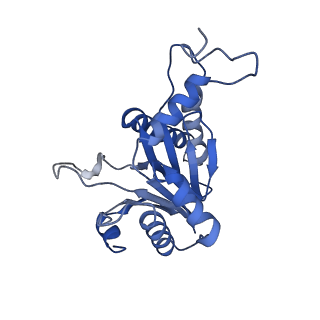 20877_6utf_A_v1-1
Allosteric coupling between alpha-rings of the 20S proteasome, archaea 20S proteasome singly capped with a PAN complex