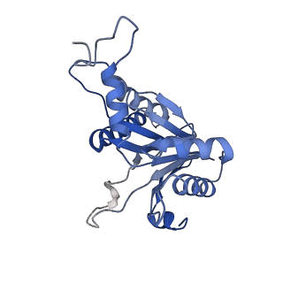 20877_6utf_B_v1-1
Allosteric coupling between alpha-rings of the 20S proteasome, archaea 20S proteasome singly capped with a PAN complex