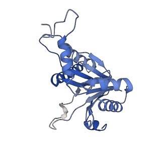 20877_6utf_B_v1-2
Allosteric coupling between alpha-rings of the 20S proteasome, archaea 20S proteasome singly capped with a PAN complex