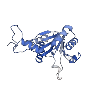 20877_6utf_C_v1-2
Allosteric coupling between alpha-rings of the 20S proteasome, archaea 20S proteasome singly capped with a PAN complex