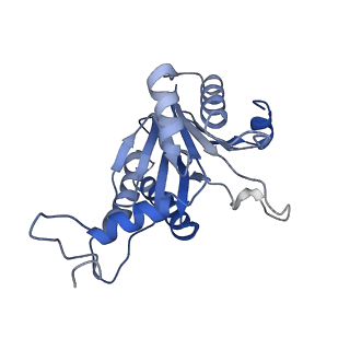 20877_6utf_D_v1-1
Allosteric coupling between alpha-rings of the 20S proteasome, archaea 20S proteasome singly capped with a PAN complex