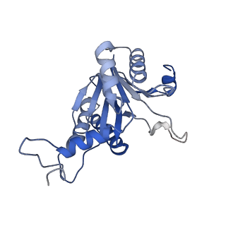 20877_6utf_D_v1-2
Allosteric coupling between alpha-rings of the 20S proteasome, archaea 20S proteasome singly capped with a PAN complex