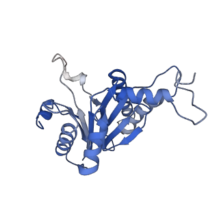 20877_6utf_G_v1-1
Allosteric coupling between alpha-rings of the 20S proteasome, archaea 20S proteasome singly capped with a PAN complex