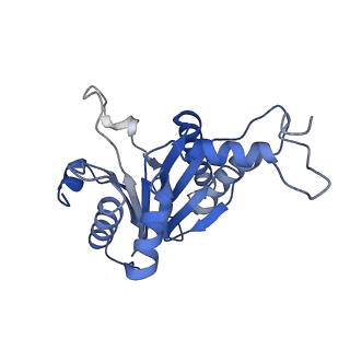 20877_6utf_G_v1-2
Allosteric coupling between alpha-rings of the 20S proteasome, archaea 20S proteasome singly capped with a PAN complex