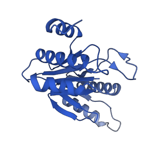 20877_6utf_I_v1-1
Allosteric coupling between alpha-rings of the 20S proteasome, archaea 20S proteasome singly capped with a PAN complex