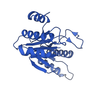 20877_6utf_I_v1-2
Allosteric coupling between alpha-rings of the 20S proteasome, archaea 20S proteasome singly capped with a PAN complex