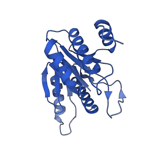 20877_6utf_J_v1-1
Allosteric coupling between alpha-rings of the 20S proteasome, archaea 20S proteasome singly capped with a PAN complex
