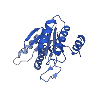 20877_6utf_K_v1-1
Allosteric coupling between alpha-rings of the 20S proteasome, archaea 20S proteasome singly capped with a PAN complex