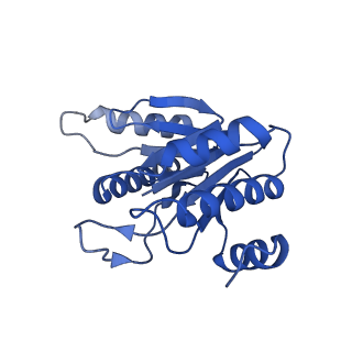 20877_6utf_L_v1-1
Allosteric coupling between alpha-rings of the 20S proteasome, archaea 20S proteasome singly capped with a PAN complex