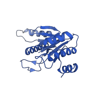 20877_6utf_L_v1-2
Allosteric coupling between alpha-rings of the 20S proteasome, archaea 20S proteasome singly capped with a PAN complex