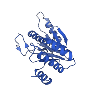 20877_6utf_M_v1-1
Allosteric coupling between alpha-rings of the 20S proteasome, archaea 20S proteasome singly capped with a PAN complex