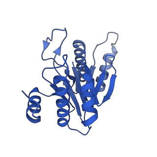 20877_6utf_N_v1-1
Allosteric coupling between alpha-rings of the 20S proteasome, archaea 20S proteasome singly capped with a PAN complex