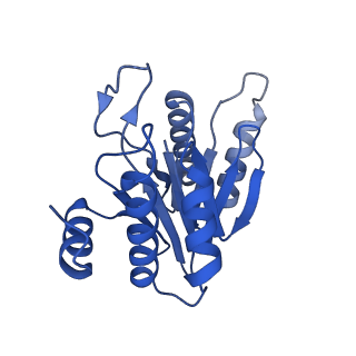 20877_6utf_N_v1-2
Allosteric coupling between alpha-rings of the 20S proteasome, archaea 20S proteasome singly capped with a PAN complex