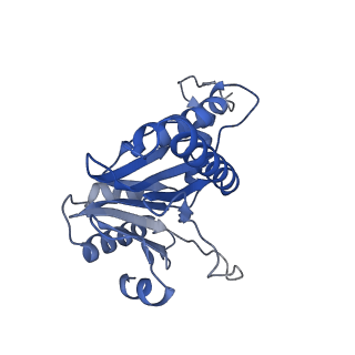 20877_6utf_O_v1-2
Allosteric coupling between alpha-rings of the 20S proteasome, archaea 20S proteasome singly capped with a PAN complex