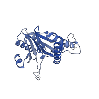 20877_6utf_P_v1-1
Allosteric coupling between alpha-rings of the 20S proteasome, archaea 20S proteasome singly capped with a PAN complex