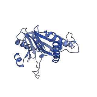 20877_6utf_P_v1-2
Allosteric coupling between alpha-rings of the 20S proteasome, archaea 20S proteasome singly capped with a PAN complex