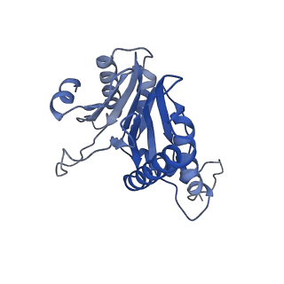 20877_6utf_Q_v1-1
Allosteric coupling between alpha-rings of the 20S proteasome, archaea 20S proteasome singly capped with a PAN complex