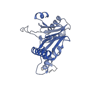 20877_6utf_R_v1-1
Allosteric coupling between alpha-rings of the 20S proteasome, archaea 20S proteasome singly capped with a PAN complex
