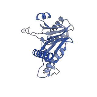 20877_6utf_R_v1-2
Allosteric coupling between alpha-rings of the 20S proteasome, archaea 20S proteasome singly capped with a PAN complex