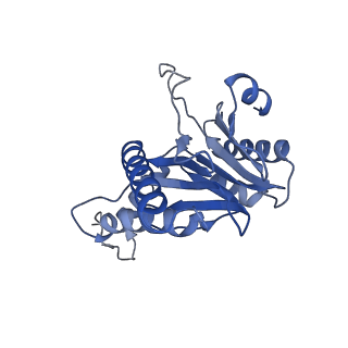 20877_6utf_S_v1-1
Allosteric coupling between alpha-rings of the 20S proteasome, archaea 20S proteasome singly capped with a PAN complex