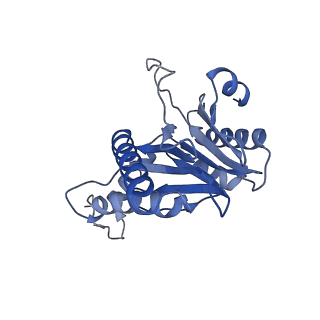 20877_6utf_S_v1-2
Allosteric coupling between alpha-rings of the 20S proteasome, archaea 20S proteasome singly capped with a PAN complex